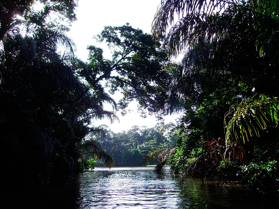 Tortuguero